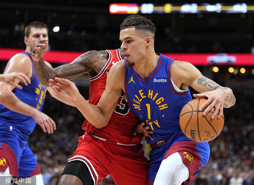 纳利的职业 纳利的职业